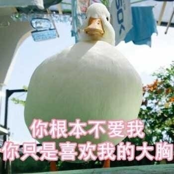 情侣聊天不会尬聊？这套表情包直接拉满氛围感