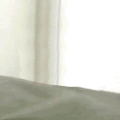 超火的狗勾玩飞刀表情包合集