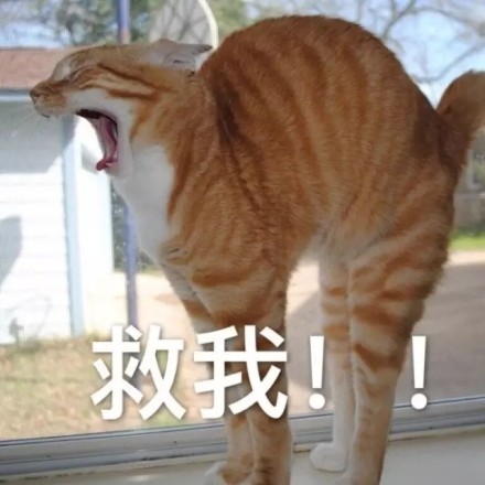 开语音打王者时，队友的这些喊话你肯定听过