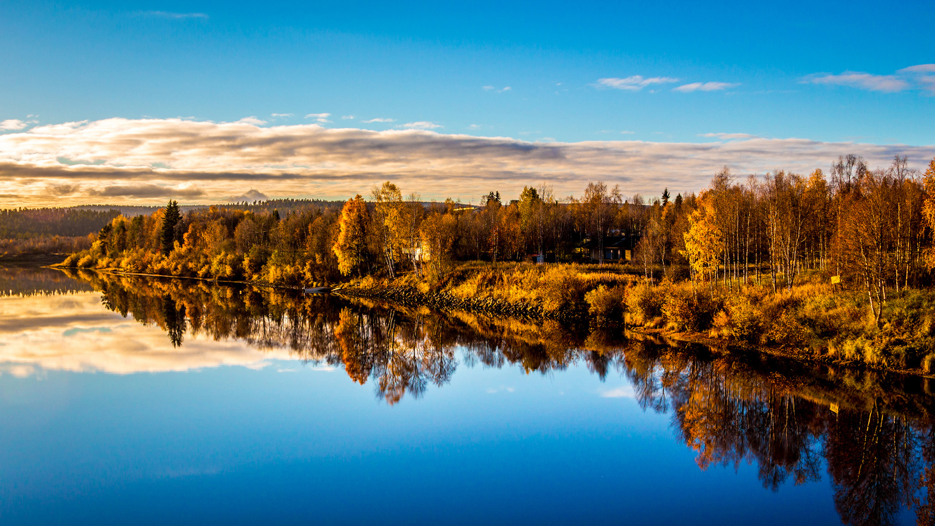 森林湖泊映着云天的电脑动漫桌面壁纸