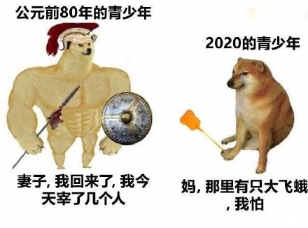 肌肉Doge和小废狗表情包来了，斗图必备！