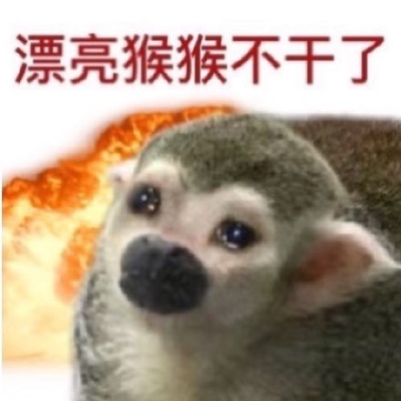 聊天斗图别愁！这套猴猴表情包帮你精准传情