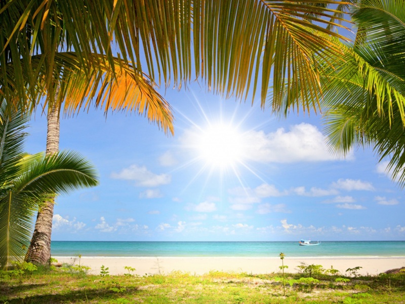 海边棕榈树搭配航船的绝美海景壁纸