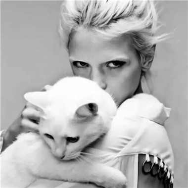 一男一女带猫咪的情侣头像来啦！12张高清帅气抱猫情头合集