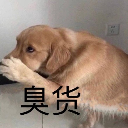 10月10日斗图表情包上新啦