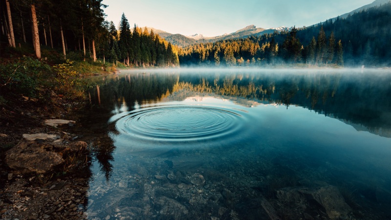 清晨雾绕森林湖的2K动漫风电脑桌面壁纸