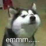 群聊斗图必备！emmmmmmmmm系列表情包来啦