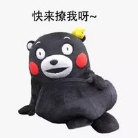 熊本熊撩人表情包合集来了