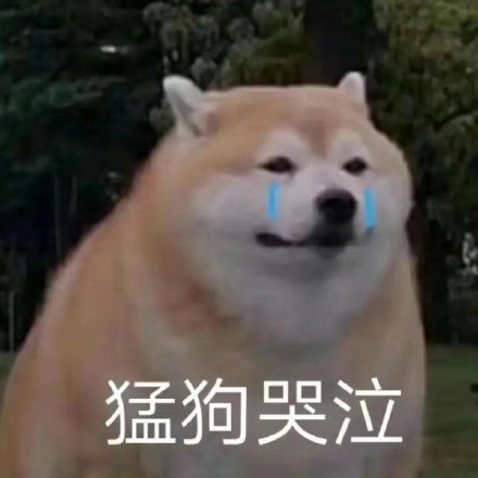 最近聊天总在用的斗图表情包合集