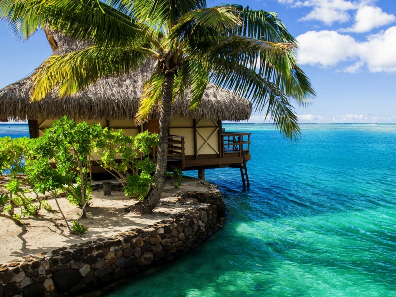 马尔代夫海边平房配绿树的高清壁纸推荐