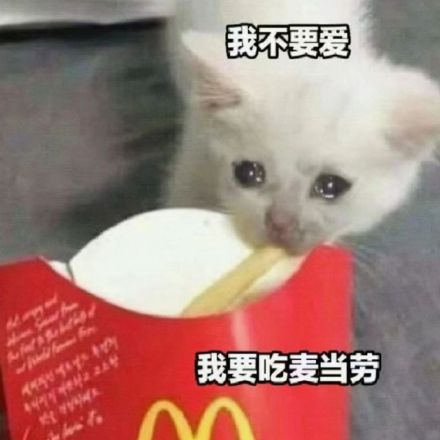 最近聊天斗图都在用的热门表情包整理