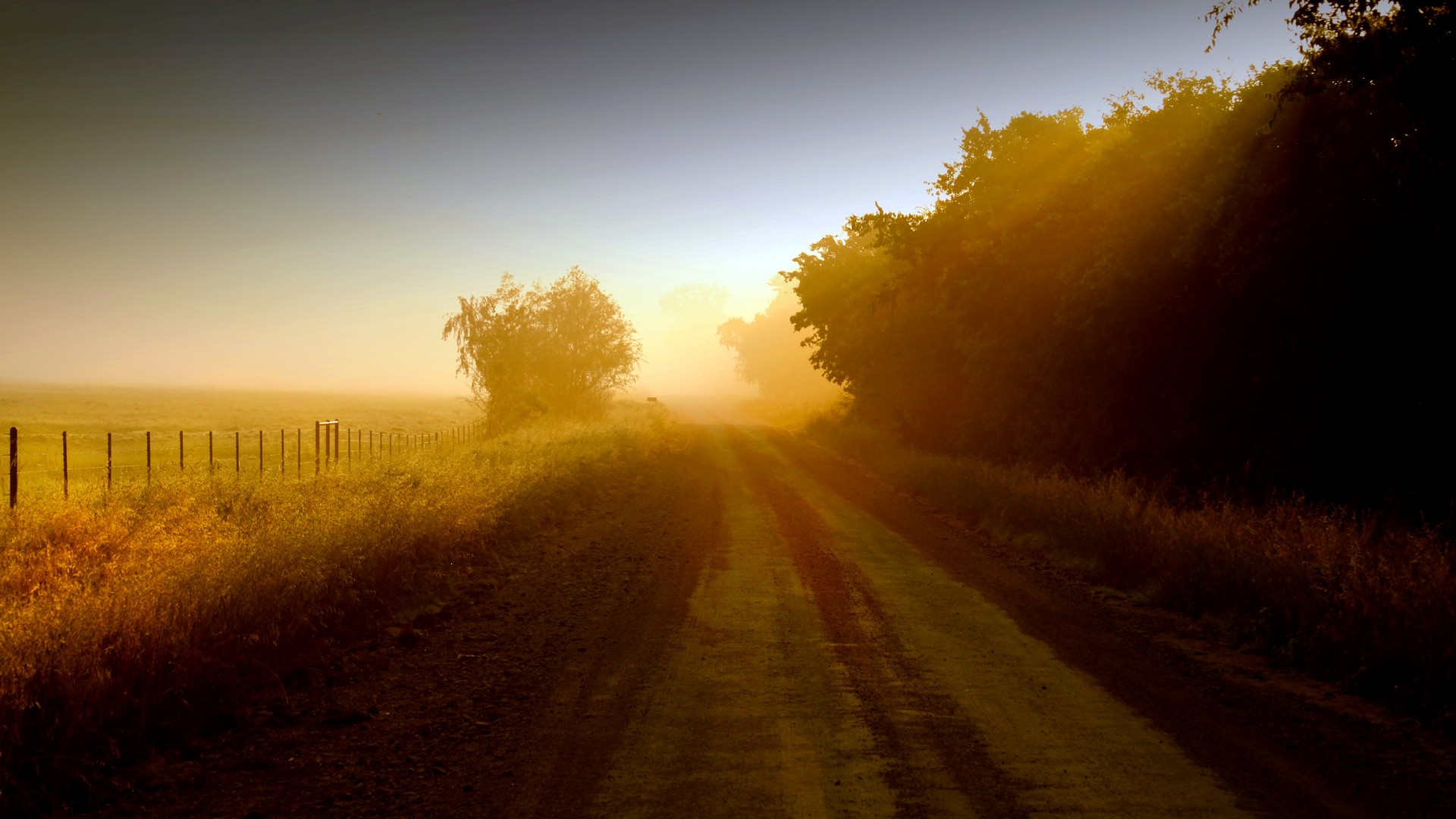 带草栅栏和马路的自然风景壁纸合集