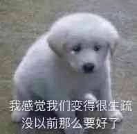 6月7日斗图表情包合集，聊天尬聊救星来了