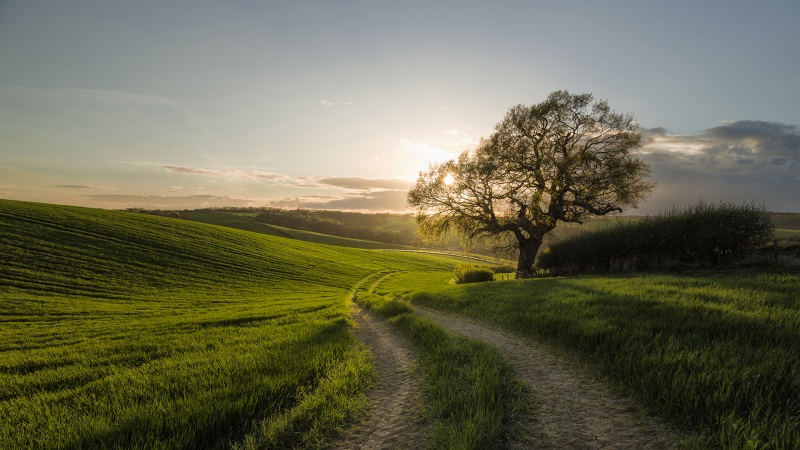 山间小路绿树草地 高清电脑桌面壁纸来了