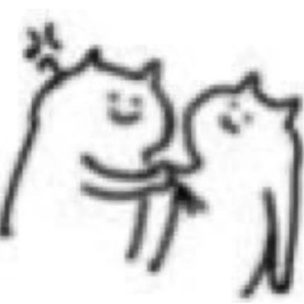 火出圈的“什么猫开门”表情包，原作者是FSS-张什么猫