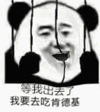 火出圈的魔性熊猫头动态表情包合集