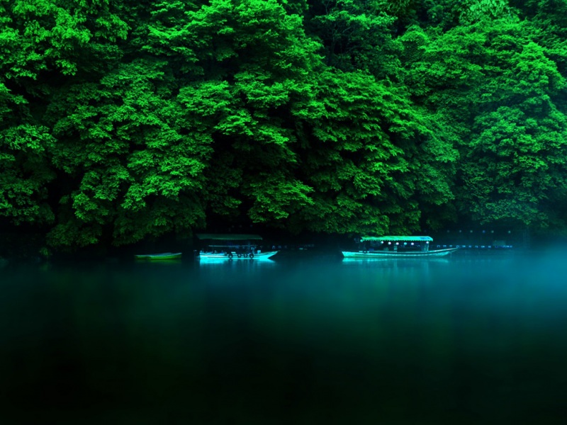 把自然湖景搬进电脑！绿荫小船动漫风桌面壁纸来了