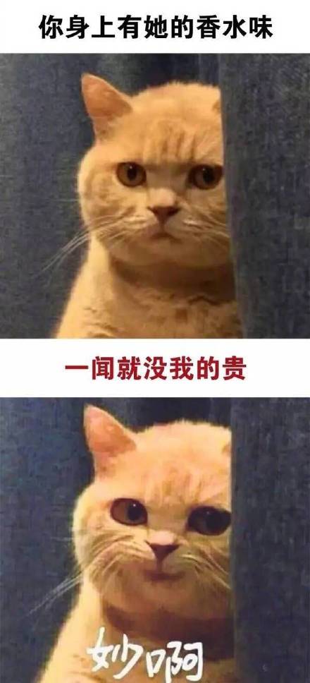 这款“真是妙啊”表情包火了，怼人摆烂都能用