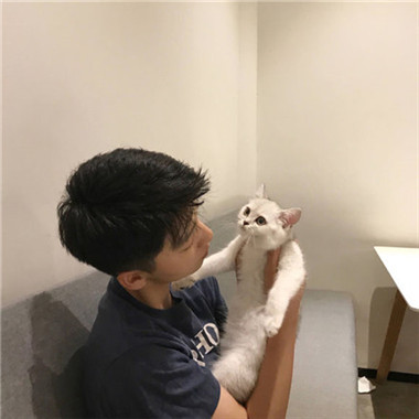 一男一女带猫咪的情侣头像来啦！12张高清帅气抱猫情头合集