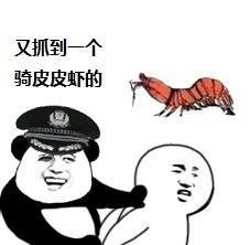 当下刷屏的皮皮虾表情包到底有多火？