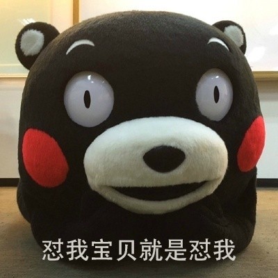 熊本熊版护崽表情包上新！主打一个“我的宝贝我来惯”