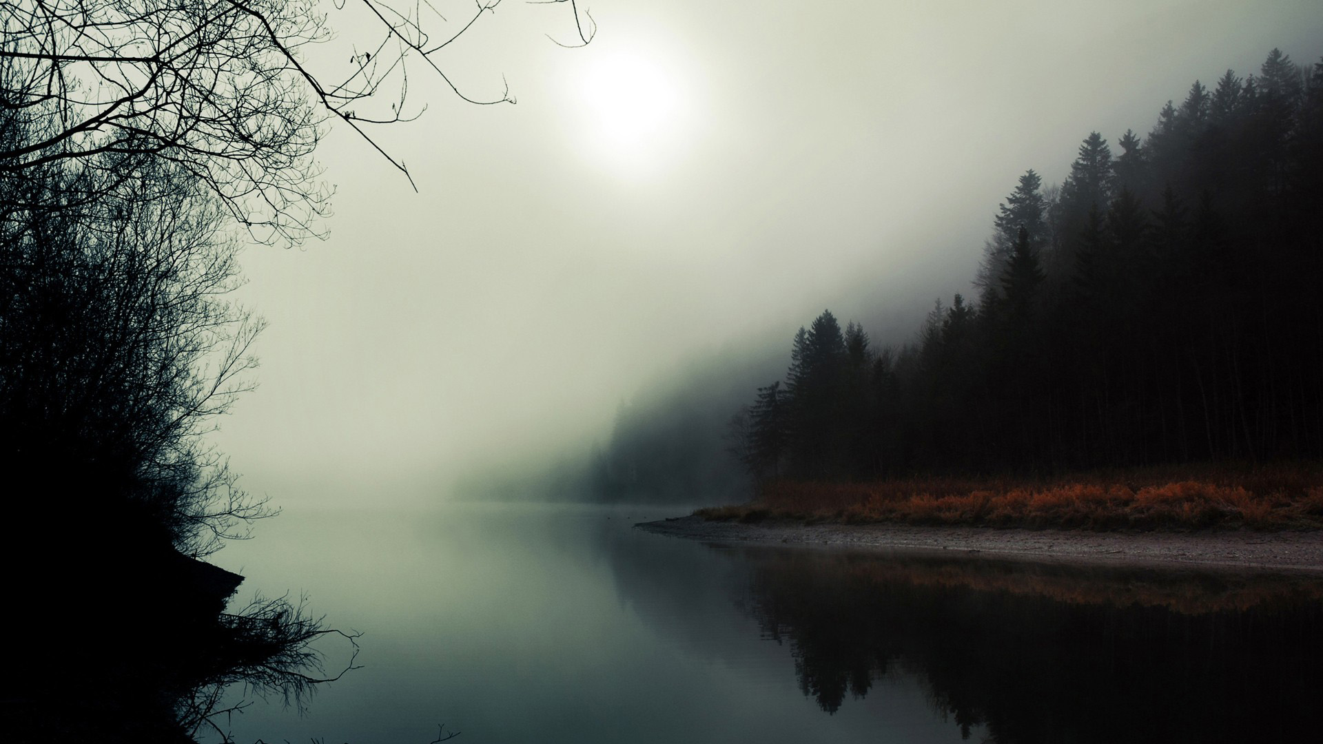 带雾的森林河流风景壁纸 多款高清尺寸可选