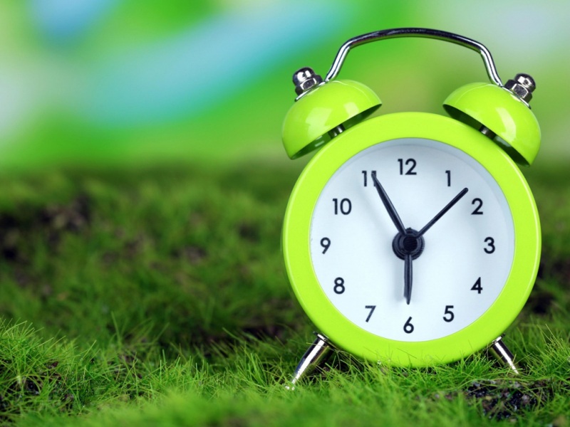 上午草地带时钟的电脑桌面动漫风景壁纸