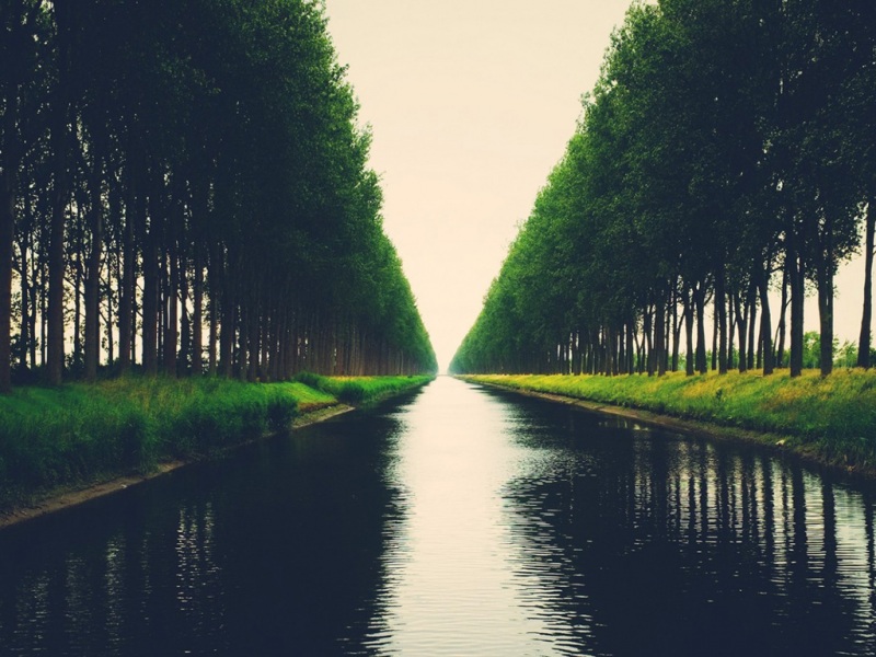 绿意 river 树林自然风景高清电脑壁纸分享