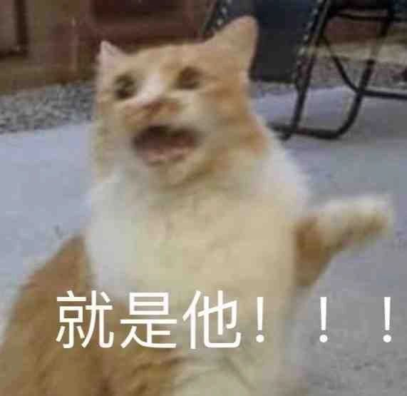 最近聊天斗图都在用的热门表情包整理