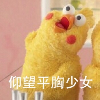 鹦鹉兄弟仰望系列表情包来啦 斗图又有新素材啦