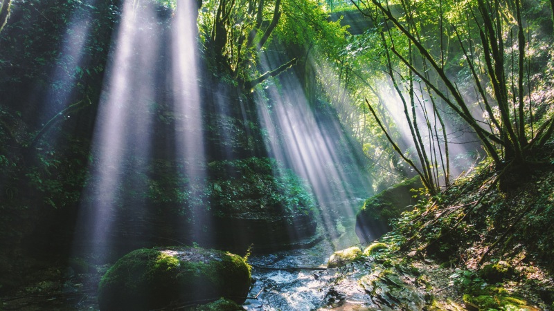 这款森系山谷风景电脑壁纸太治愈了！
