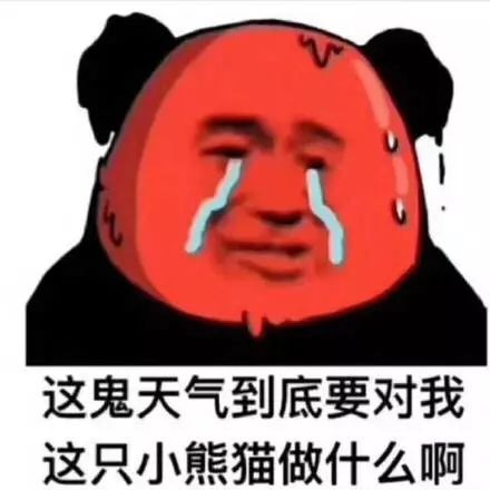 夏天热到只想开空调？这套表情包帮你吐槽