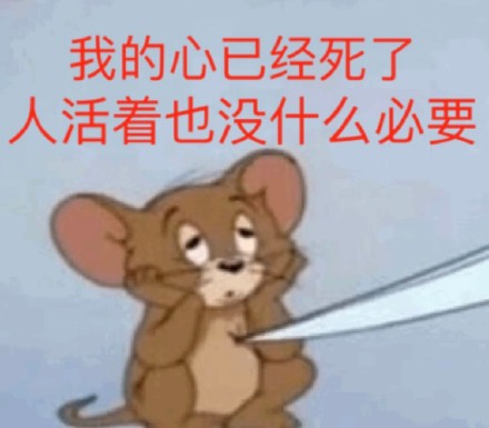 用《猫和老鼠》做斗图表情包？这波怀旧梗太绝了