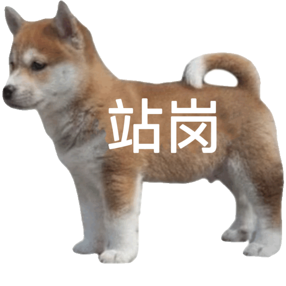 聊天必备！站岗小狗表情包合集来啦