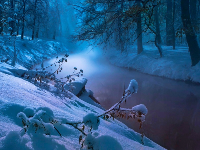 冬日溪流森林雪景壁纸 适配多尺寸电脑桌面