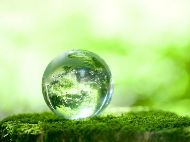 绿色苔球电脑桌面动漫壁纸？不，这是高清风景壁纸哦