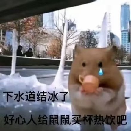 聊天斗图必备！这套小仓鼠表情包太会整活了