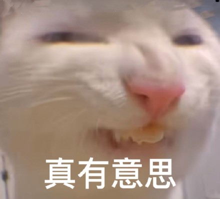 又有新的奇怪猫猫表情包可以用啦