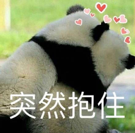 聊天斗图不用愁！这套实用表情包直接存