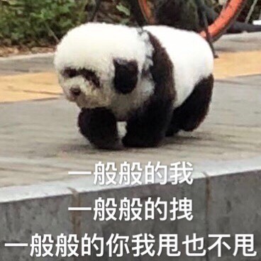 日常斗图必备！这组杂图表情包太好用了