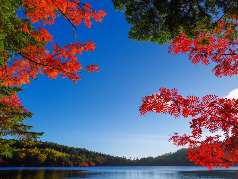 秋日湖景风景电脑壁纸推荐