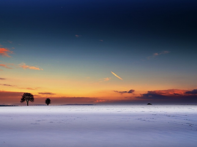 冬日田野日落雪地树壁纸