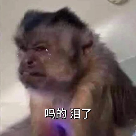 全网最全吗喽和水豚斗图表情包合集