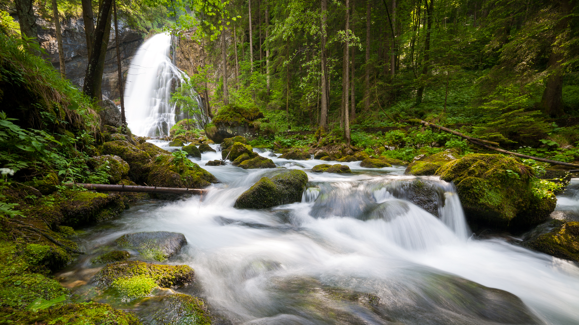 超治愈森林瀑布！这套高清风景壁纸太适合当电脑桌面了