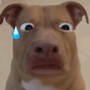 12月19日斗图表情包合集来啦