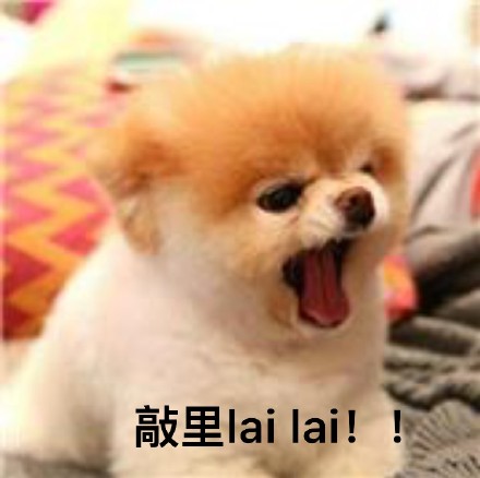敲里吗！敲里lai lai 斗图表情包合集