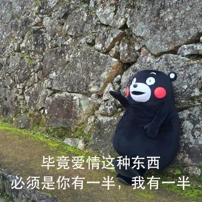 这套熊本熊表白表情包，说出了好多人想的恋爱相处模式