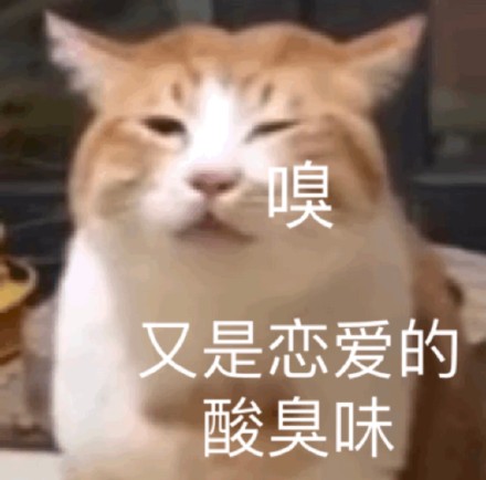 猫咪表情包合集来啦！