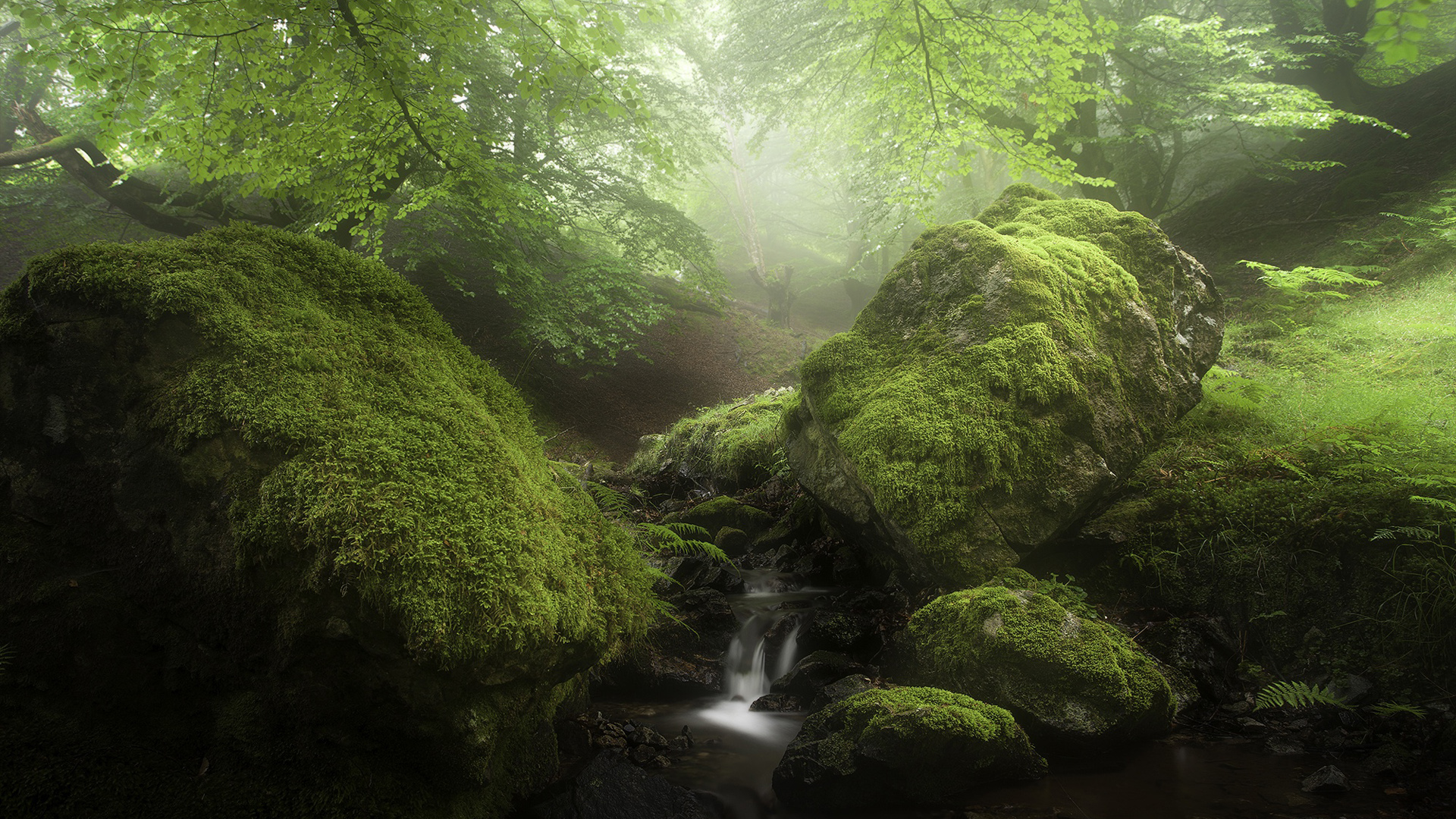 森系氛围感拉满！带小溪岩石苔藓的风景电脑壁纸