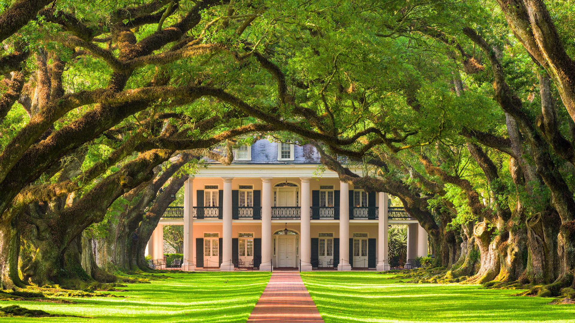 橡木胡同林荫草坪别墅 高清风景壁纸来啦